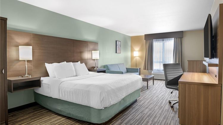 Best Western Plus Dartmouth Hotel & Stes Room