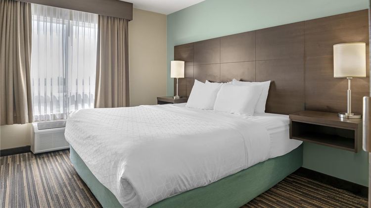 Best Western Plus Dartmouth Hotel & Stes Room