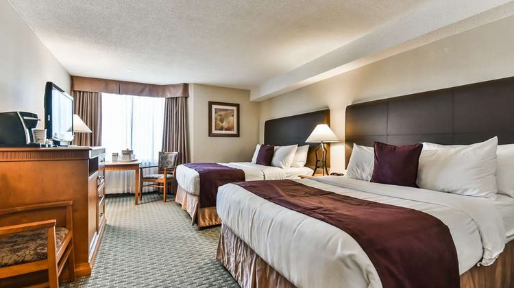 Best Western Plus Cambridge Hotel Room