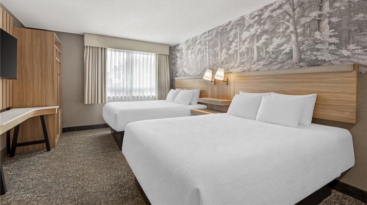 Best Western Plus Burlington Inn & Suite Suite