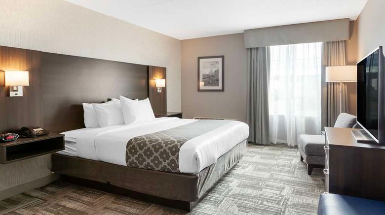 <b>Best Western Milton Room</b>. Images powered by <a href="https://iceportal.shijigroup.com/" title="IcePortal" target="_blank">IcePortal</a>.
