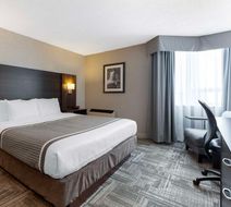 Best Western Milton Room