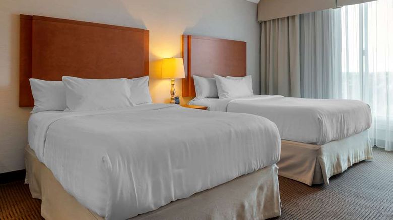 <b>Best Western Plus Gatineau-Ottawa Room</b>. Images powered by <a href="https://iceportal.shijigroup.com/" title="IcePortal" target="_blank">IcePortal</a>.