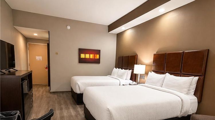 Best Western Plus Monterrey Airport Room