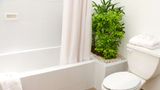 Best Western Riviera Tuxpan Room