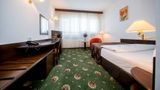 Best Western Central Hotel Room