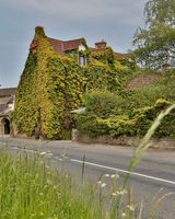 Best Western Compass Inn