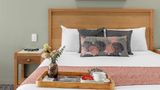 Best Western Geelong Motor Inn Room