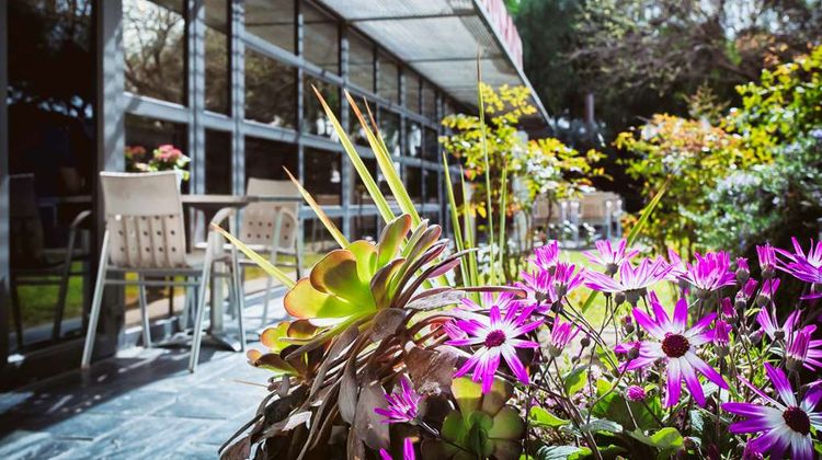 Best Western Plus Hotel Alfa Aeropuerto Exterior