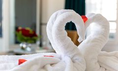 Best Western Plus Hotel du Pont Wilson