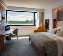 Best Western Plus Hotel Metz Technopole Room