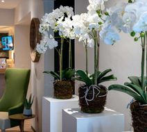 Best Western Auray Le Loch Lobby