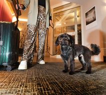Best Western Hotel Windorf Lobby