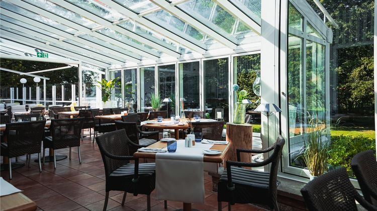 Best Western Seehotel Frankenhorst Other