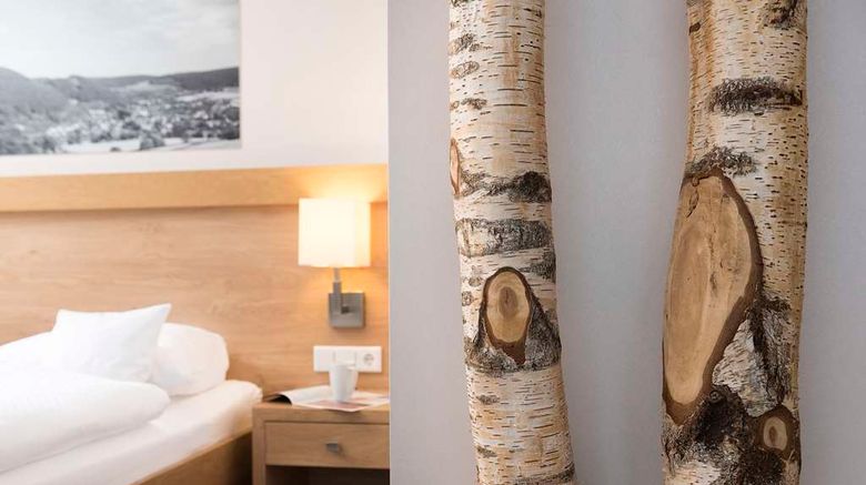 <b>Best Western Plus Hotel Willingen Other</b>. Images powered by <a href="https://iceportal.shijigroup.com/" title="IcePortal" target="_blank">IcePortal</a>.