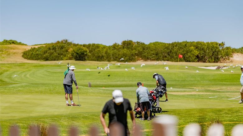 <b>Best Western City Sands Golf</b>. Images powered by <a href="https://iceportal.shijigroup.com/" title="IcePortal" target="_blank">IcePortal</a>.
