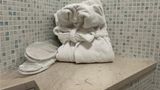 Best Western Cesena Hotel Suite