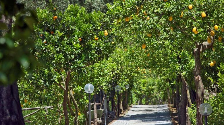 <b>Villa Oriana Relais Other</b>. Images powered by <a href="https://iceportal.shijigroup.com/" title="IcePortal" target="_blank">IcePortal</a>.