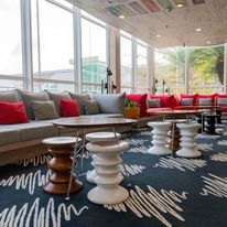 Ibis Londrina