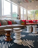 Ibis Londrina