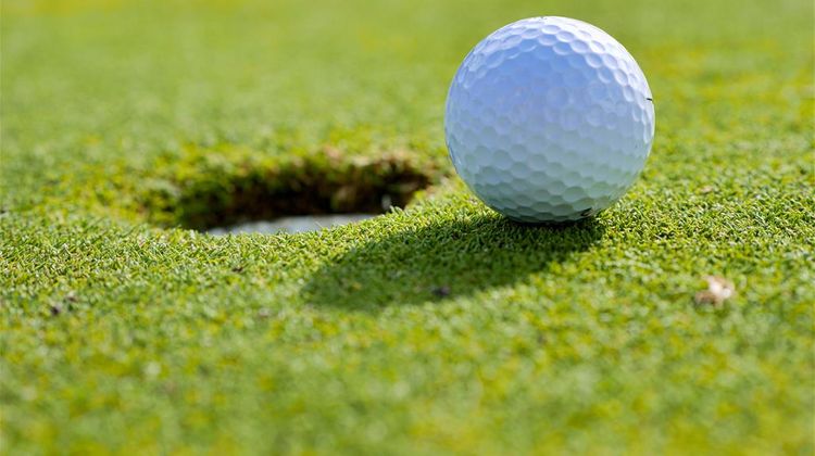 Scandic Odense Golf