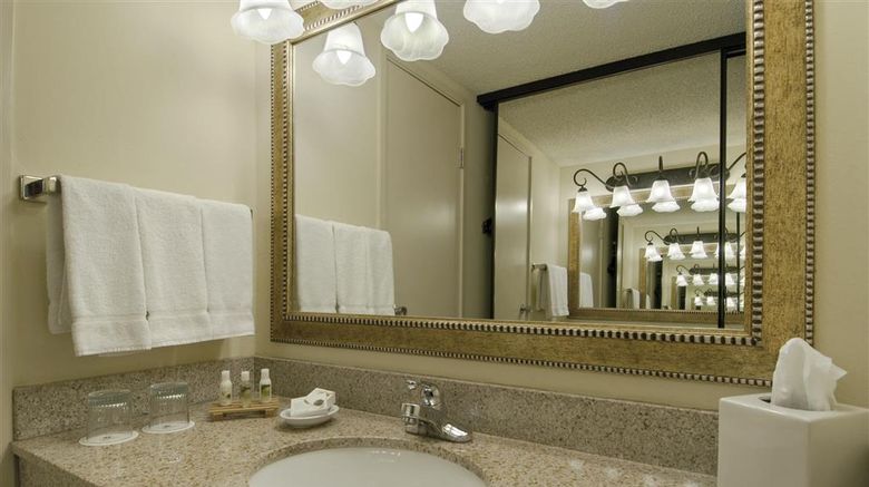 <b>Spark by Hilton Seattle Airport Suite</b>. Images powered by <a href="https://iceportal.shijigroup.com/" title="IcePortal" target="_blank">IcePortal</a>.