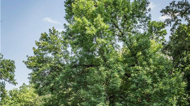 The Hyatt Lodge At Oak Brook Recreation