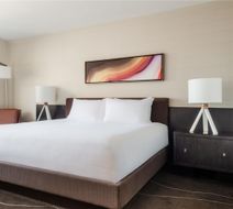 Grand Hyatt Denver Room