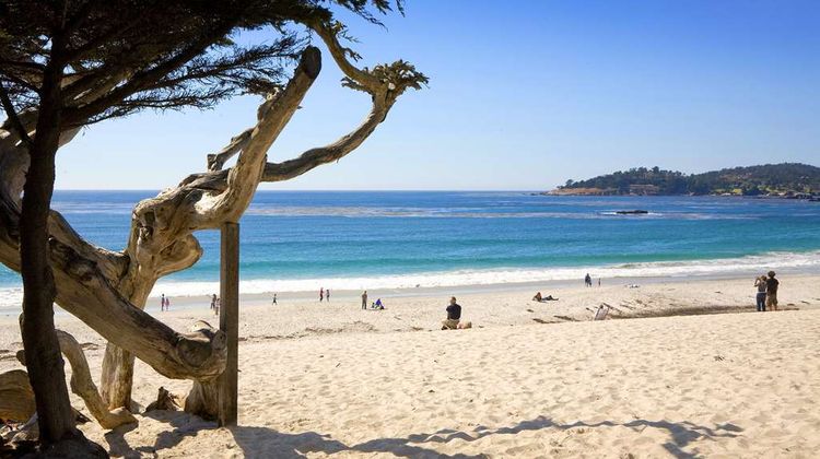 Hyatt Carmel Highlands Beach