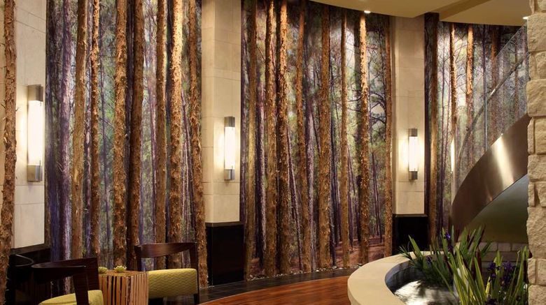 <b>Hyatt Centric The Woodlands Lobby</b>. Images powered by <a href="https://iceportal.shijigroup.com/" title="IcePortal" target="_blank">IcePortal</a>.