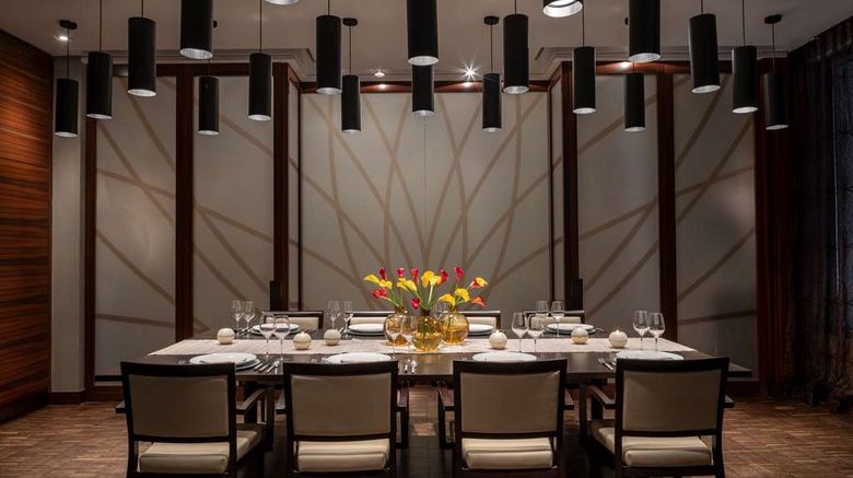<b>Hyatt Centric Wall Street NYC Meeting</b>. Images powered by <a href="https://iceportal.shijigroup.com/" title="IcePortal" target="_blank">IcePortal</a>.
