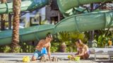 <b>Park Hyatt Aviara Resort/Golf Club/Spa Recreation</b>. Images powered by <a href="https://iceportal.shijigroup.com/" title="IcePortal" target="_blank">IcePortal</a>.