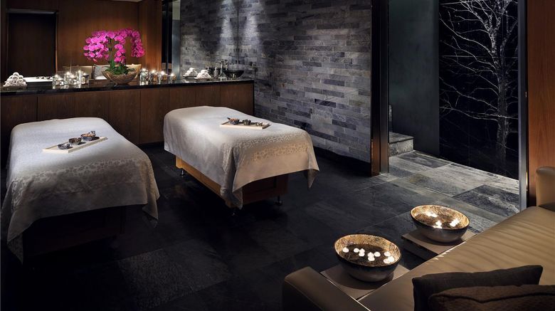 <b>Park Hyatt Abu Dhabi Spa</b>. Images powered by <a href="https://iceportal.shijigroup.com/" title="IcePortal" target="_blank">IcePortal</a>.