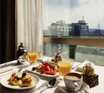 Hyatt Regency Belgrade Room