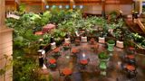 <b>Grand Hyatt Dubai Restaurant</b>. Images powered by <a href="https://iceportal.shijigroup.com/" title="IcePortal" target="_blank">IcePortal</a>.