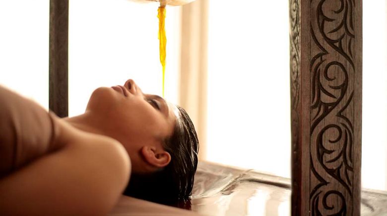 <b>Hyatt Regency Kathmandu Spa</b>. Images powered by <a href="https://iceportal.shijigroup.com/" title="IcePortal" target="_blank">IcePortal</a>.