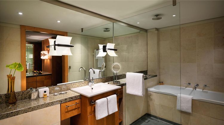 Hyatt Regency Mainz Room