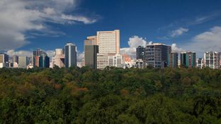Hyatt Regency Mexico City