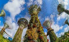 Grand Hyatt Singapore