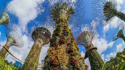 Grand Hyatt Singapore