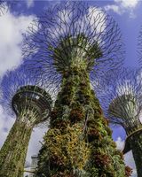 Grand Hyatt Singapore