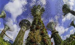Grand Hyatt Singapore