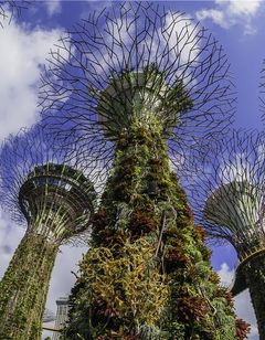 Grand Hyatt Singapore