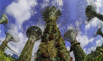 Grand Hyatt Singapore