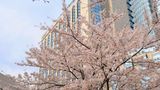 <b>Grand Hyatt Tokyo Exterior</b>. Images powered by <a href=https://www.travelagewest.com/Hotels/Tokyo/