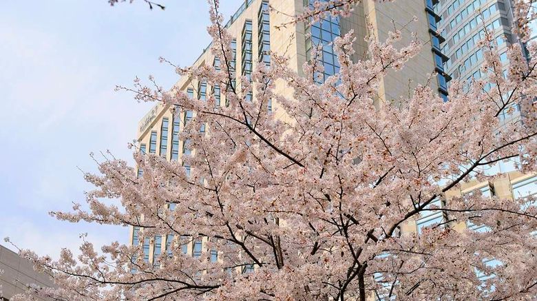 <b>Grand Hyatt Tokyo Exterior</b>. Images powered by <a href=https://www.travelagewest.com/Hotels/Tokyo/