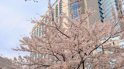 Grand Hyatt Tokyo