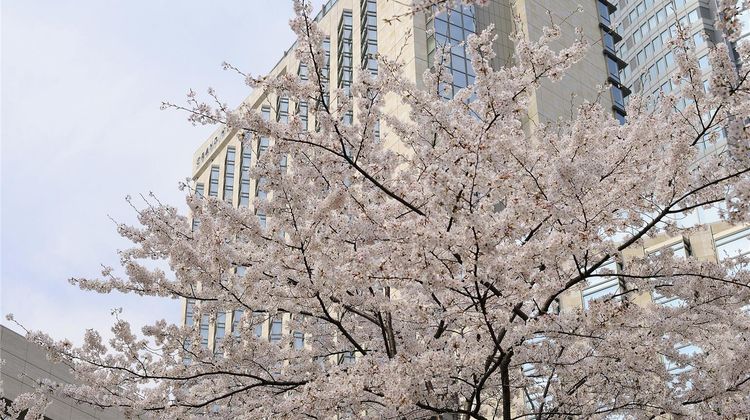 Grand Hyatt Tokyo Exterior
