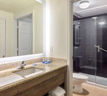 Hyatt House Houston/Galleria Room