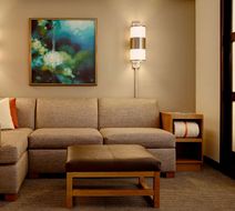Hyatt Place Saratoga/Malta Room